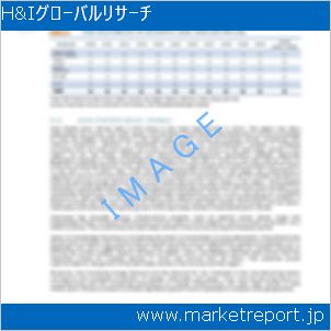 市場と産業調査レポートのイメージ